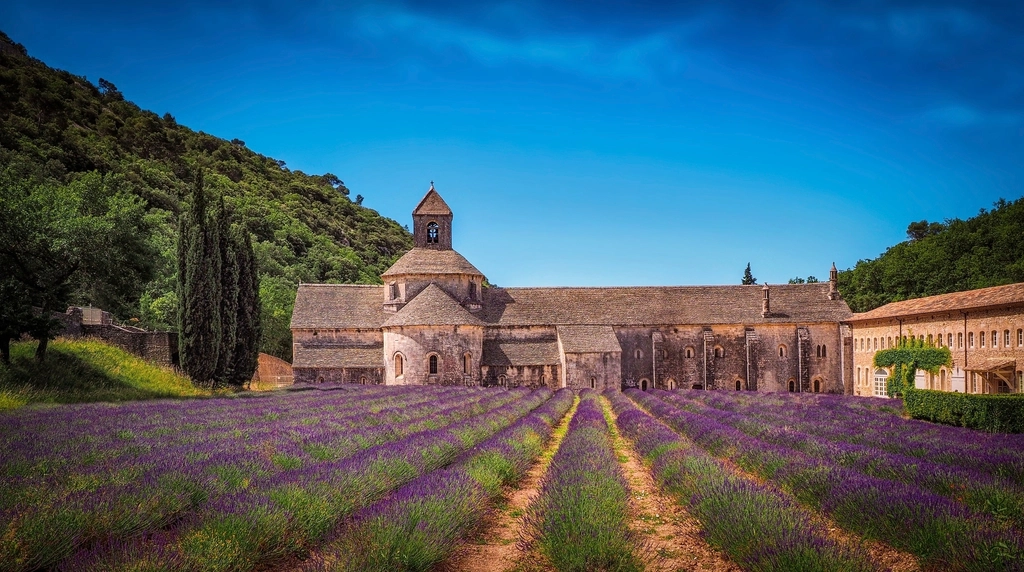 A Romanesque stone abbey behind rows of lavender, cypress on the hillside, Provence.